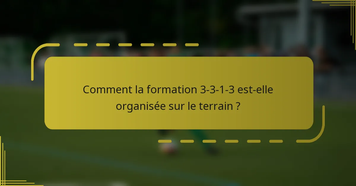 Comment la formation 3-3-1-3 est-elle organisée sur le terrain ?