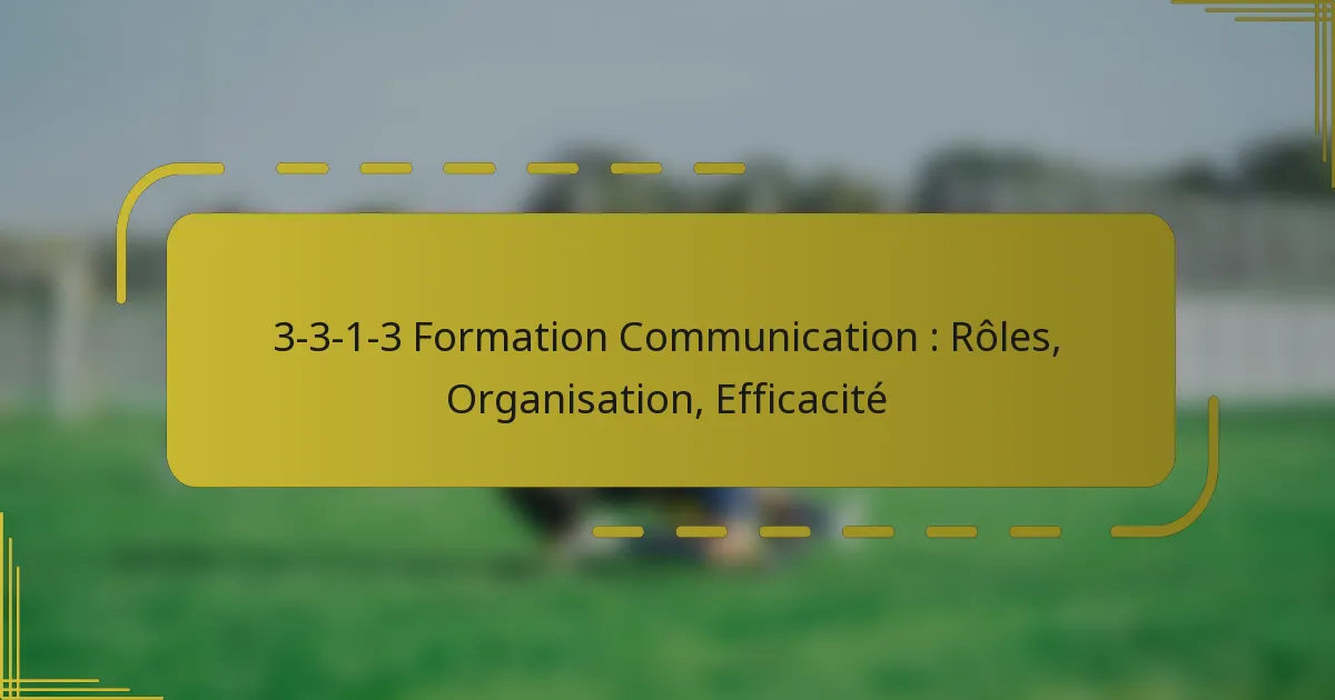 3-3-1-3 Formation Communication : Rôles, Organisation, Efficacité