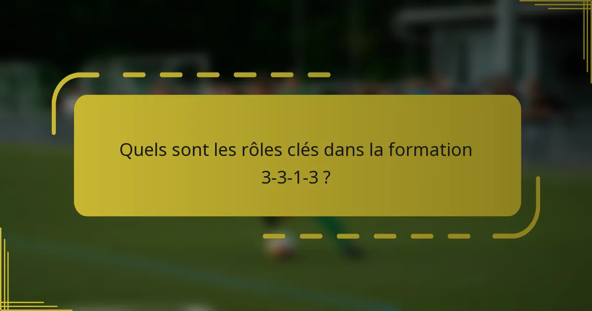 Quels sont les rôles clés dans la formation 3-3-1-3 ?